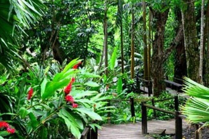 South Sea Island Half Day with Lunch & Drinks - Lunch, drinks, and the Fijian meke