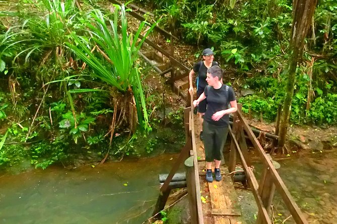 Suva Customized tour- Private - Thurston Botanical Gardens and Fiji Museum