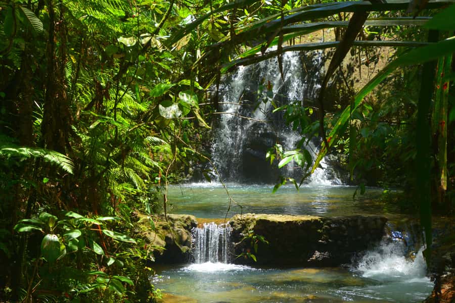 Suva: Fijian Nature and Waterfall Tour - Key points to know before you book