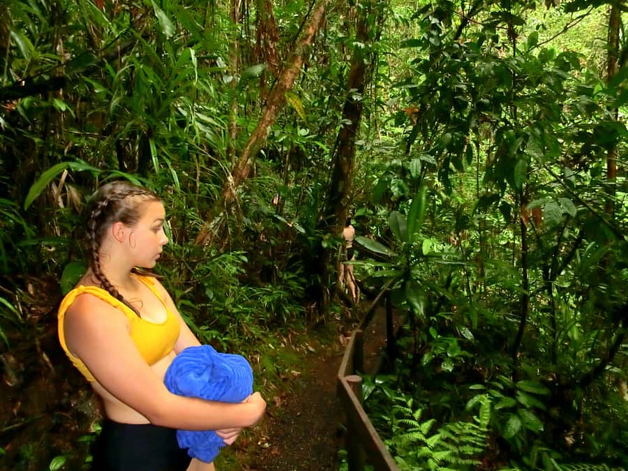 Suva: Fijian Nature and Waterfall Tour - Who should book this waterfall tour?
