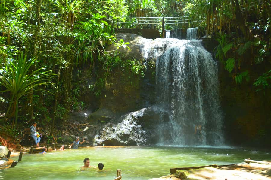 Suva: Fijian Nature and Waterfall Tour - From Suva streets to Colo-I-Suva rainforest