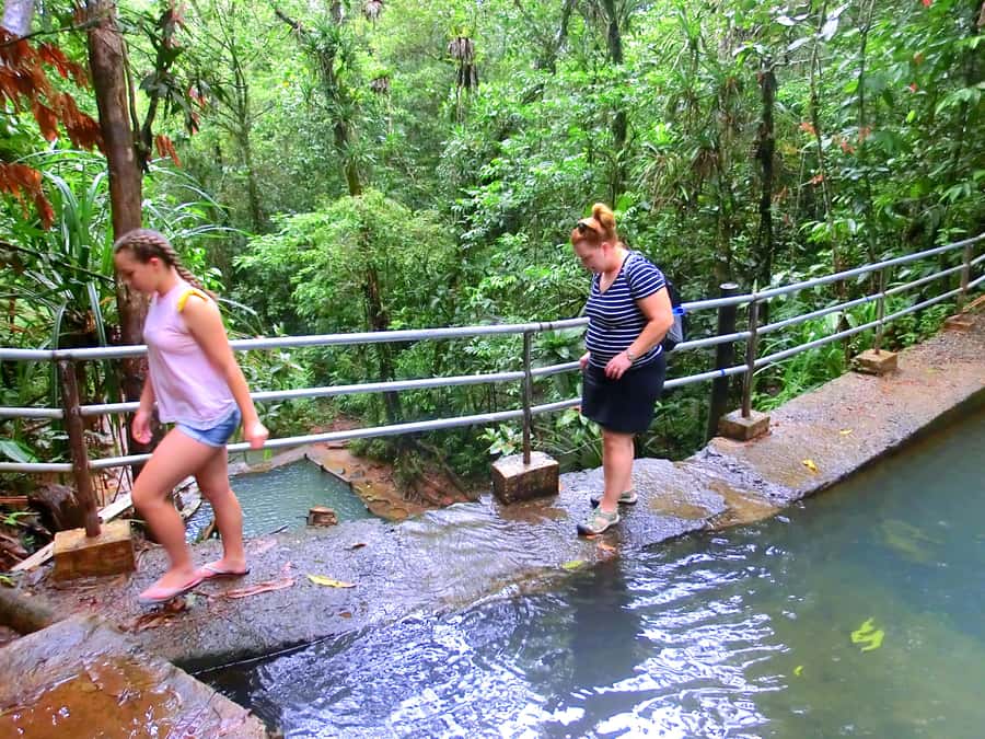 Suva: Fijian Nature and Waterfall Tour - Guides who shape the experience
