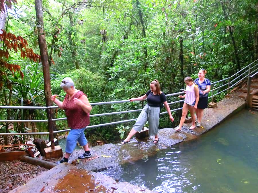 Suva: Fijian Nature and Waterfall Tour - Weather, safety, and the limits of the walk