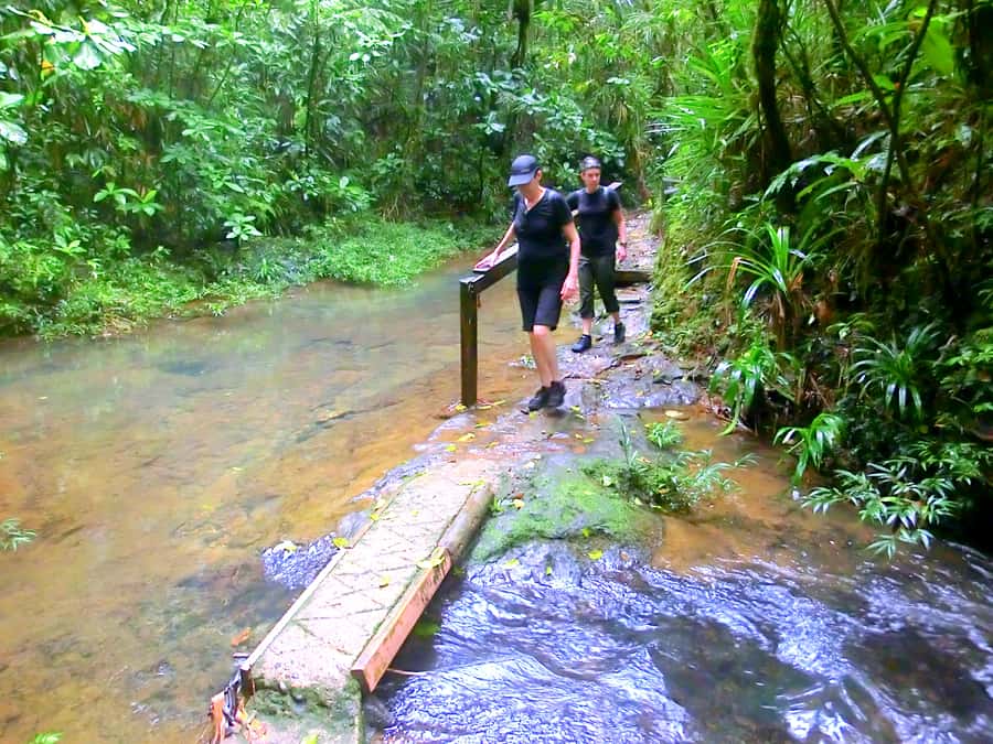 Suva: Fijian Nature and Waterfall Tour - What to bring for a better day