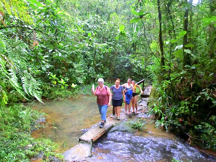 Suva: Half Day City Sightseeing Tour - Thurston Botanical Gardens: a calm stop in the city