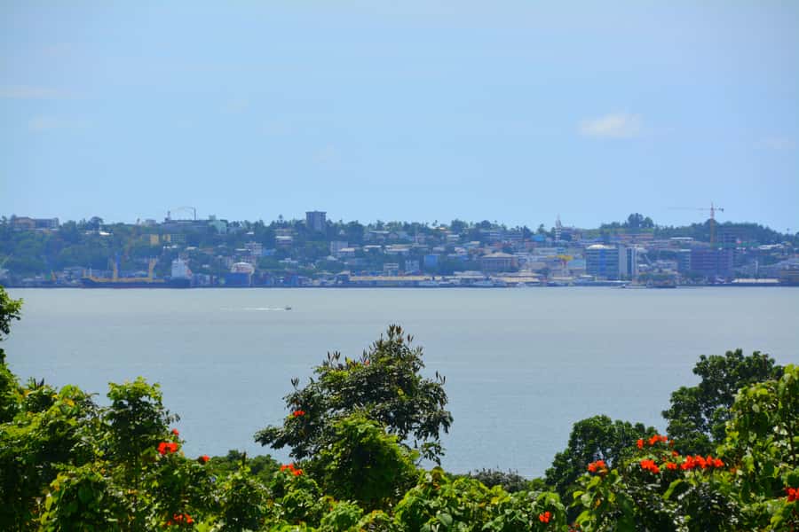 Suva: Half Day City Sightseeing Tour - Photo stops at Parliament House and the chiefs’ complex