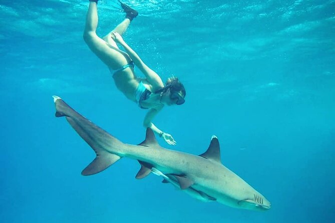 Ultimate Encounter Snorkel with Sharks in Fiji - Transfers make booking easier, but confirm the details