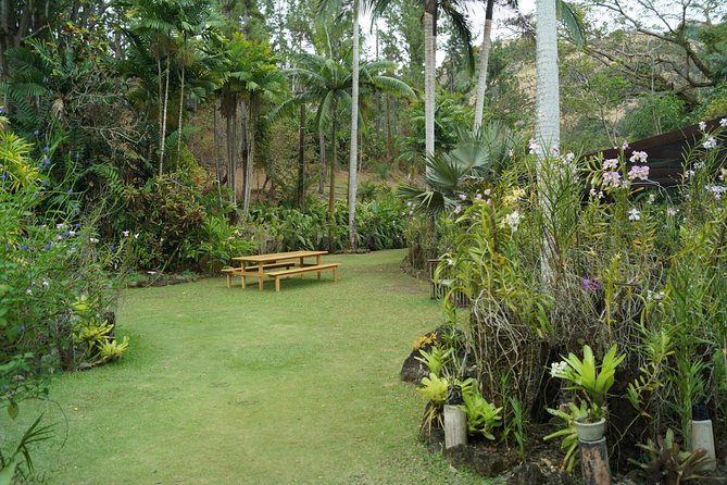 Vuda Lookout, Vesisei Village, Market, Temple & Garden of Sleeping Giant Tour - The Garden of the Sleeping Giant and its orchid collection