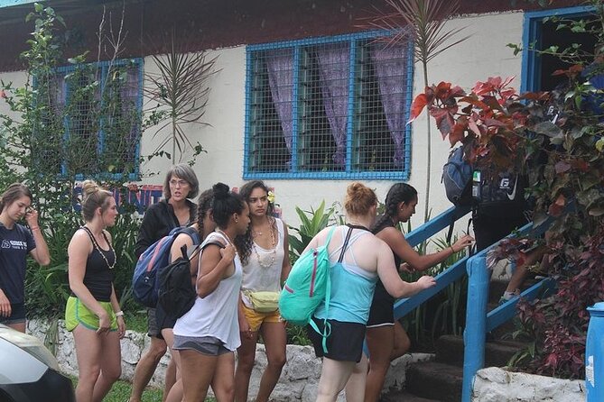Waterfall and Fijian Village Tour with Light Lunch ex Nadi Area Hotels - The drive from Nadi to Sigatoka