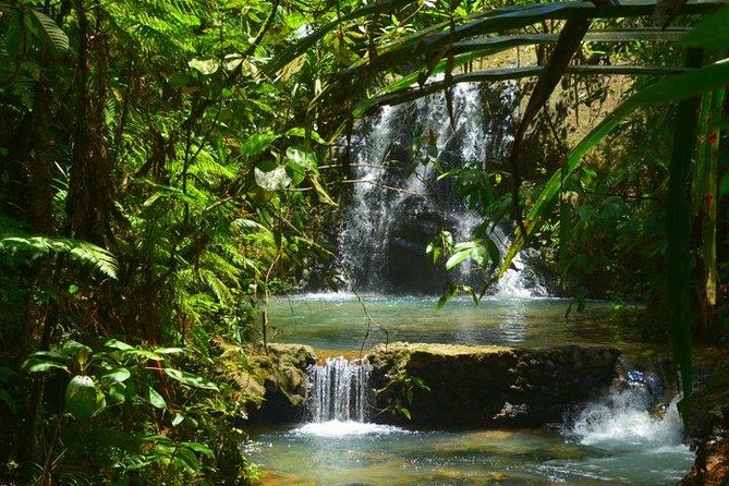 Waterfalls and Nature Tour - Waisila Falls and the natural pools