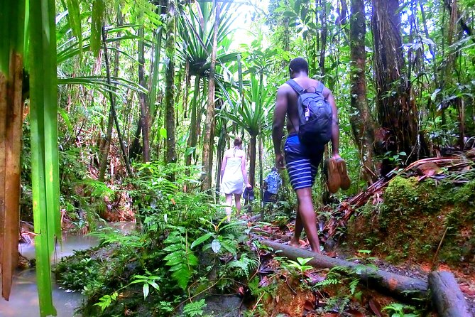 Waterfalls and Nature Tour - What the $91.72 price covers