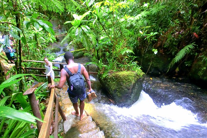 Waterfalls and Nature Tour - Who will enjoy this forest outing most