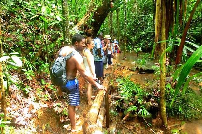 Waterfalls and Nature Tour - Practical details for a smoother morning
