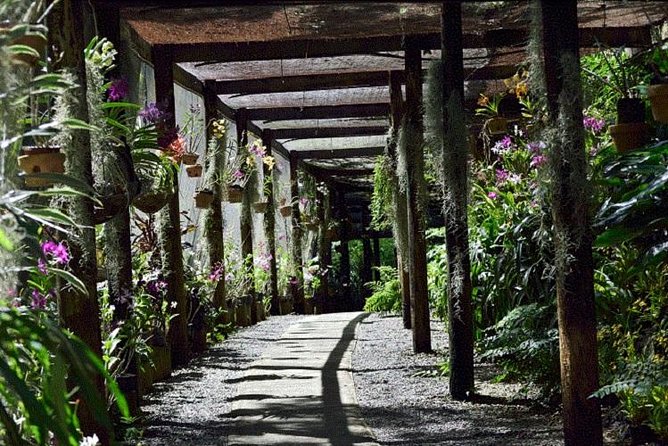 Wonders of Nadi Tour - Hindu Temple, Sleeping Giant Gardens, Markets & Shopping - Stop three: Gardens of the Sleeping Giant