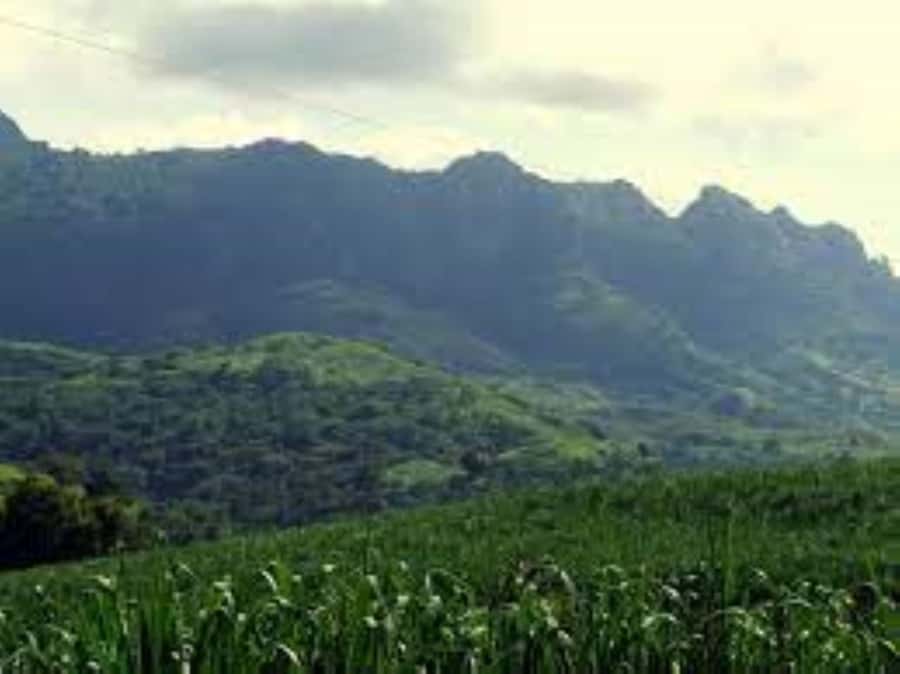 Zipline, Cave, Seaview & Mud Spa Tour with Lunch Included - Sabeto Hot Springs and Mud Pool